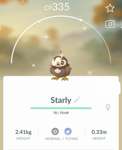 Shiny starly pokemon gen4 - starly,