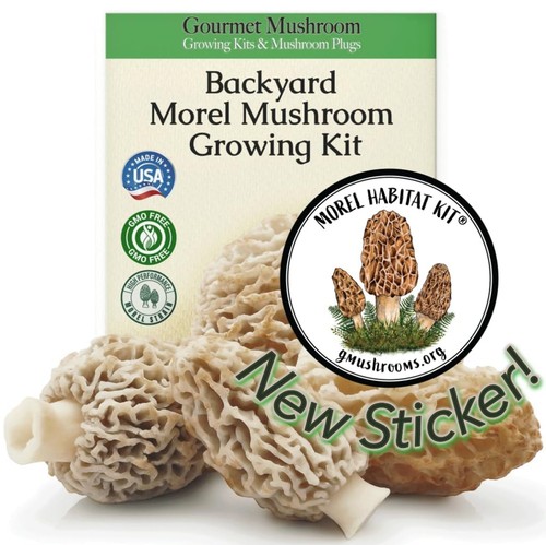 Morel habitat kit - habitat, kit®