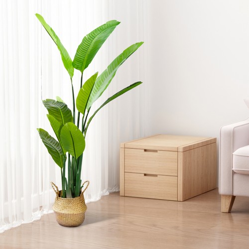 Albero ficus artificiale - albero, di