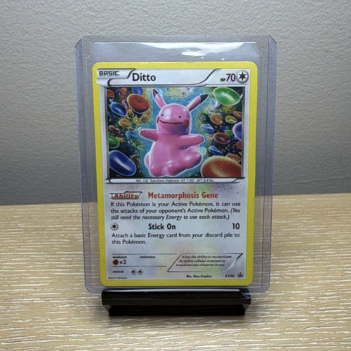 Pokémon tcg ditto xy40 - pokémon,