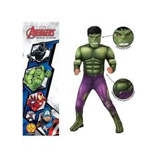 Puzzle Party Costume Carnevale Avengers Hulk Deluxe taglia L