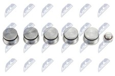 NTY GUARNIZIONI DEL COLLETTORE