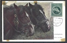 1944 GERMANIA IMPERO MASSIMO CARD CORSE DI CAVALLI DALL'AUSTRIA VIENNA