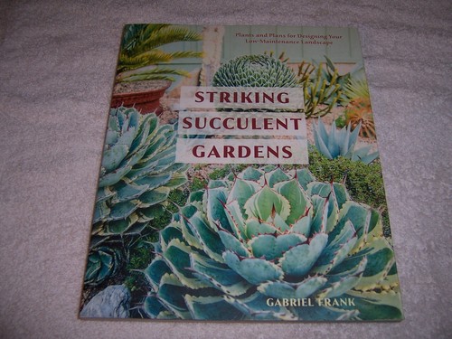 Striking succulent gardens - striking,
