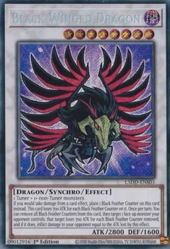 Black winged dragon - black-winged,