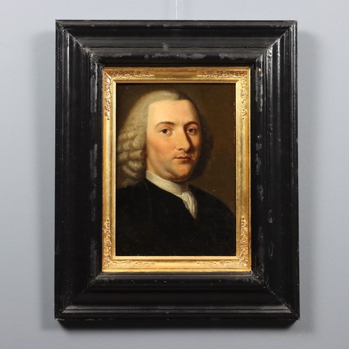 Ritratto petrus camper - petrus,