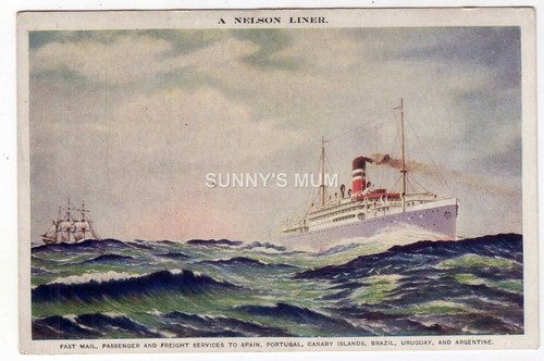 Shipping nelson line liner - line,,