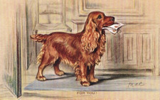 VINTAGE ART postcard:  DOG by
