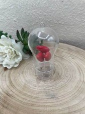 STOCK 12 PZ Scatolina