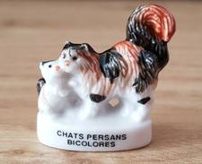 Fava - Gatti Persiani Bicolore