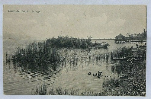 Torre del lago - lago, il