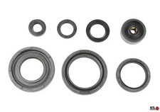 Kit paraoli motore yamaha - paraoli,