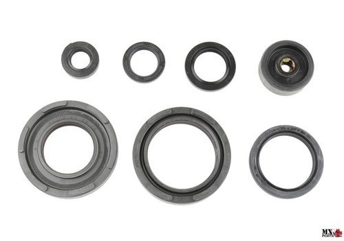 Kit paraoli motore - paraoli,