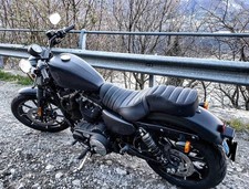Sella harley davidson 883 - harley, iron