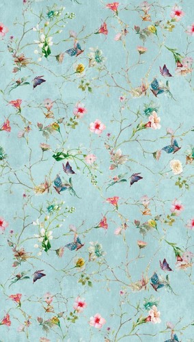 Livingwalls cottage 382681 - cottage,