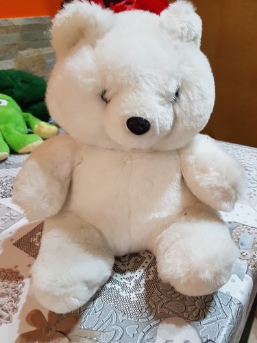 Lotto 1871 orso bianco - 1871,