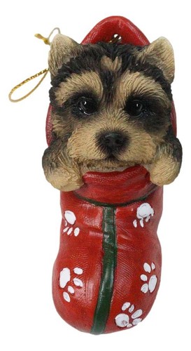 Yorkshire terrier yorkie - terrier, puppy