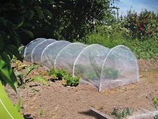 MINI SERRA EARLY TUNNEL