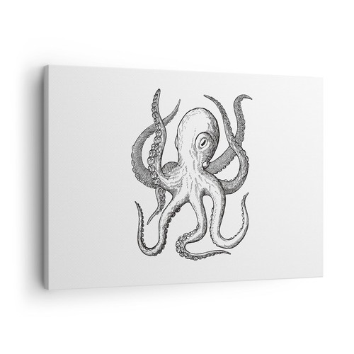 Quadro tela 70x50cm polpo - quadro,