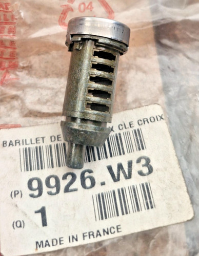 Citroen c15 canna di - (01/95-),