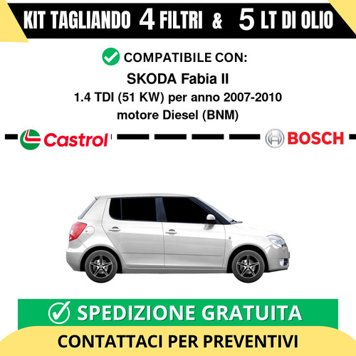 Tagliando per skoda - fabia, ii