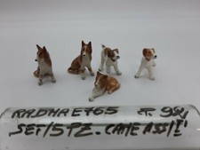 Set/5 Cani assortiti -