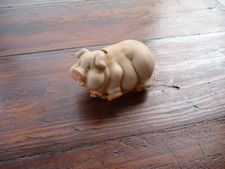 Maialino salvadanaio in