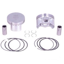 Serie pistoni stampati