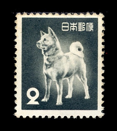 Japanese akita inu dog postage - inu,