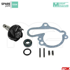 KIT REVISIONE GIRANTE POMPA
