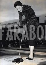 Foto Vintage Animali Francia Visone Saga al guinzaglio 1957 stampa 18x13cm