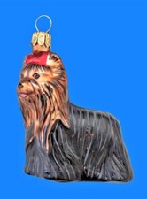 YORKSHIRE TERRIER DOG YORKY