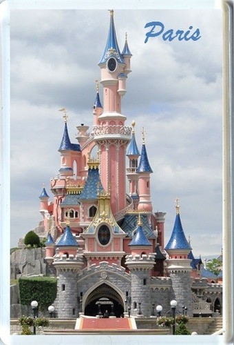 Paris disneyland fridge magnet - fridge,