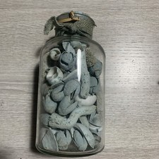 Conchiglie, decorazioni per la