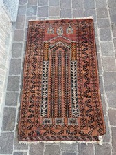 Splendido Tappeto Carpet