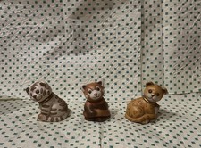 Thun Club Cucciolo di Leopardo, Panda Rosso Tigre 2013-2014-2015