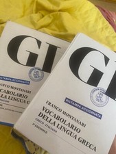 GI vocabolario della lingua Greca + guida all'uso del vocabolario