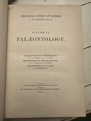 1866 illinois geological - 1866,