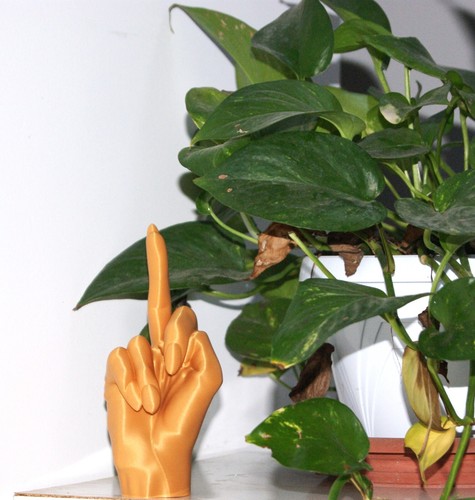 Mano donna decorativa - mano,