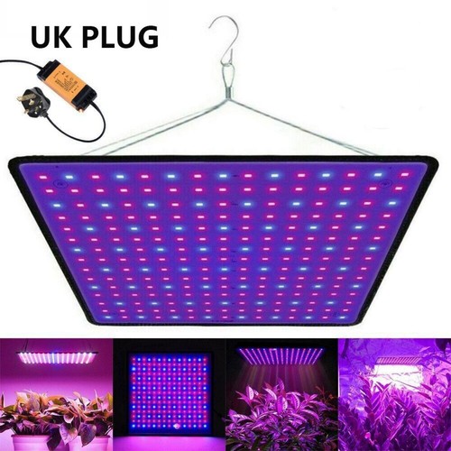 Luce led coltivazione per - coltivazione,