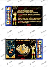 Data East ROYAL RUMBLE WWF
