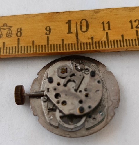 Movimento orologio polso - ,