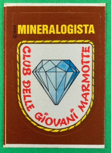 Adesivo club delle giovani - adesivo,