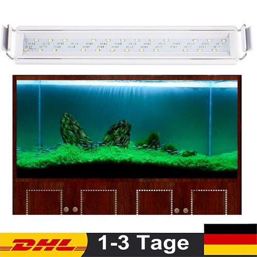 Illuminazione led per acquario - led,