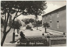PARGHELIA - VIBO VALENTIA - PIAZZA EUROPA - EDIFICIO SCOLASTICO - VIAGG. -64487-