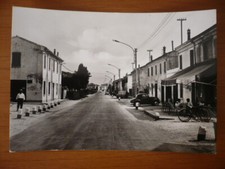 COPPARO - AMBROGIO - FERRARA -