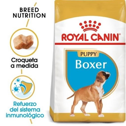 Royal canin boxer - , 12