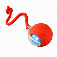 Giocattolo Interattivo per