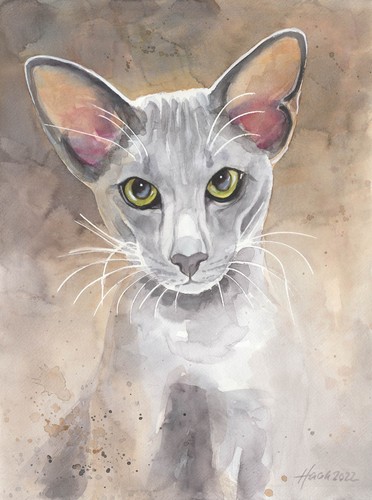 Acquerello originale gatto - acquerello,