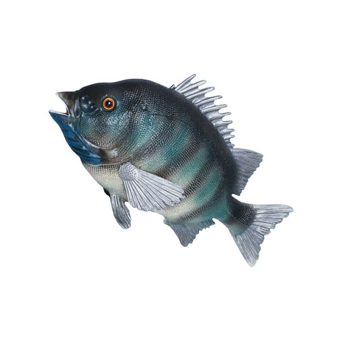 Pesci finti per acquario - pesci,